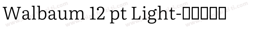 Walbaum 12 pt Light字体转换